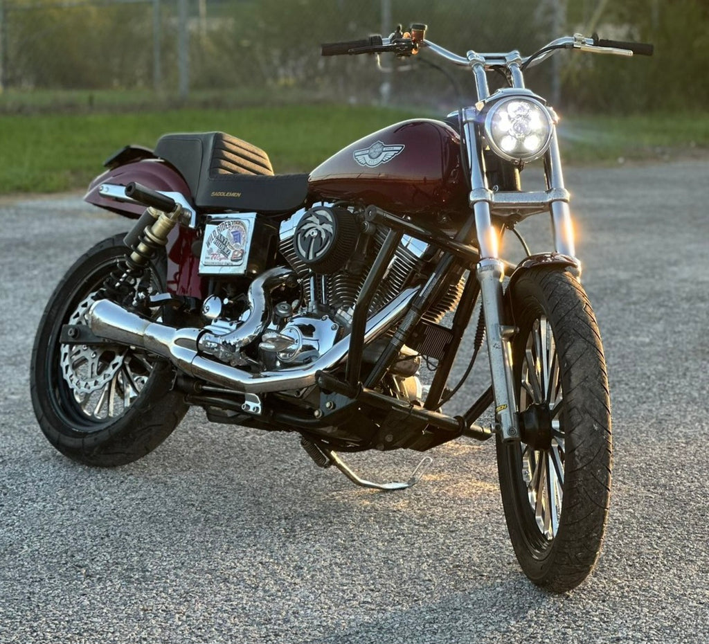 CFT Dyna cage